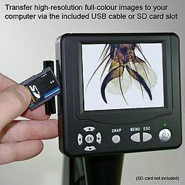 LCD electronic Microscope laboratory kit